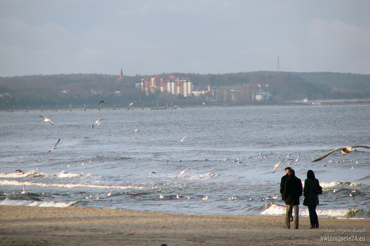 2008 canon s3is IMG 0082