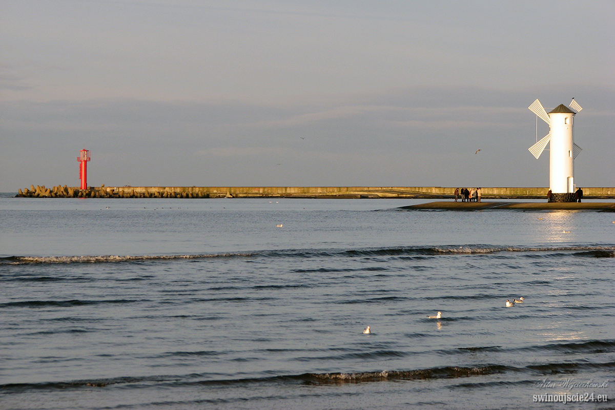 2008 canon s3is IMG 0096