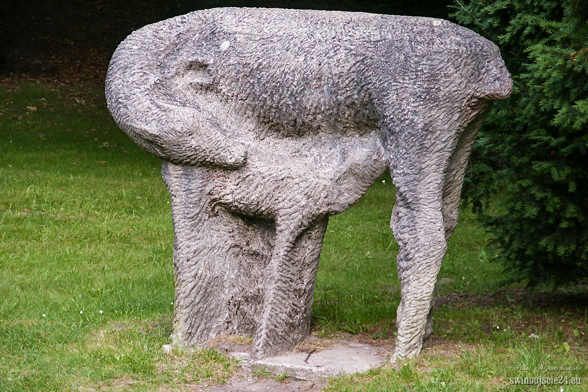 2004 minolta s414 PICT0098