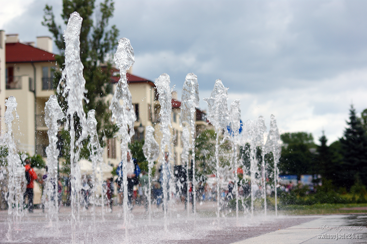 2010 sony alfa 350 DSC04491