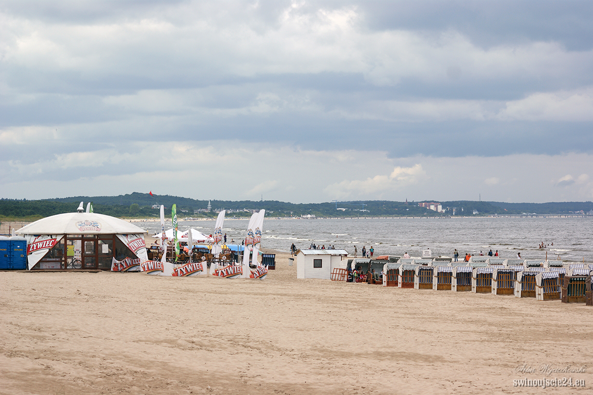 2010 sony alfa 350 DSC04625