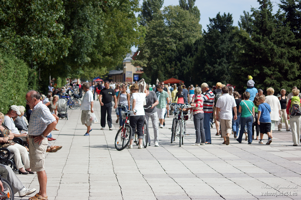 2010 sony alfa 350 DSC04641