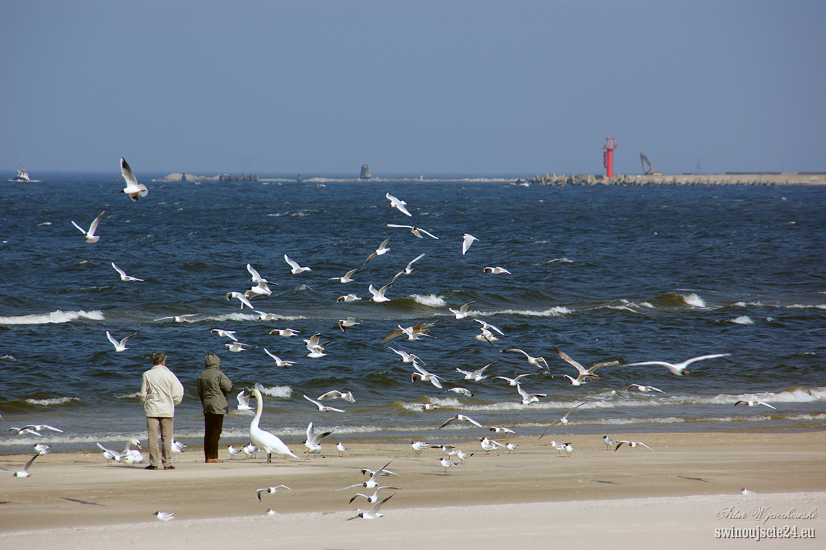 2012 sony alfa 350 DSC00731