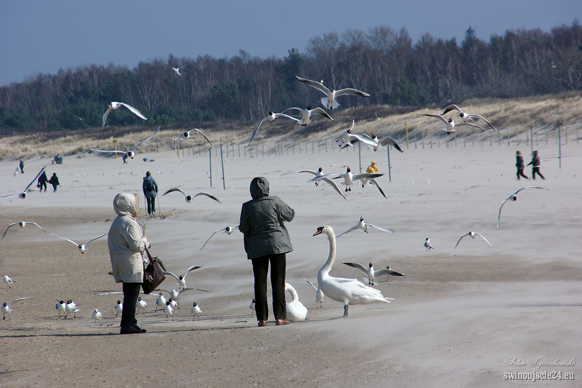 2012 sony alfa 350 DSC00736