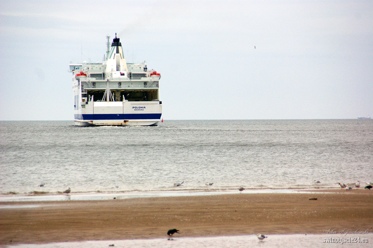 2013 sony alfa 350 DSC03236