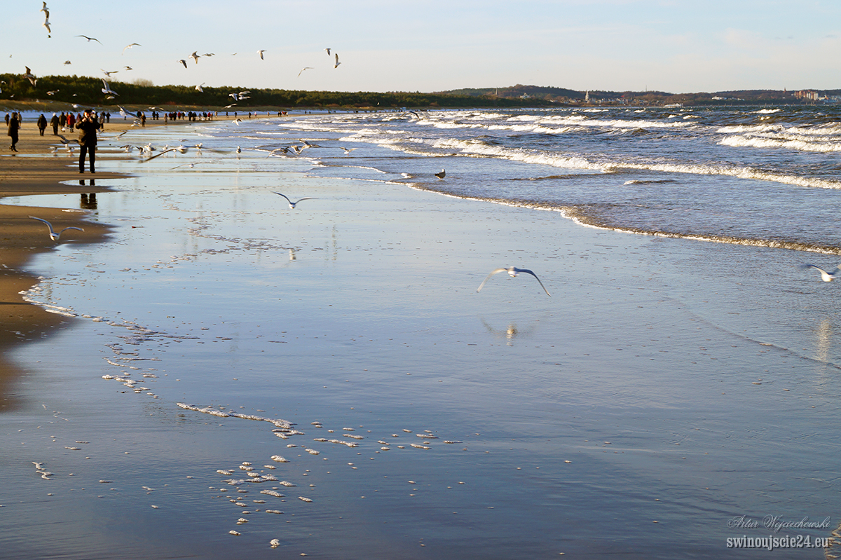 2014 sony alfa 58 DSC01797