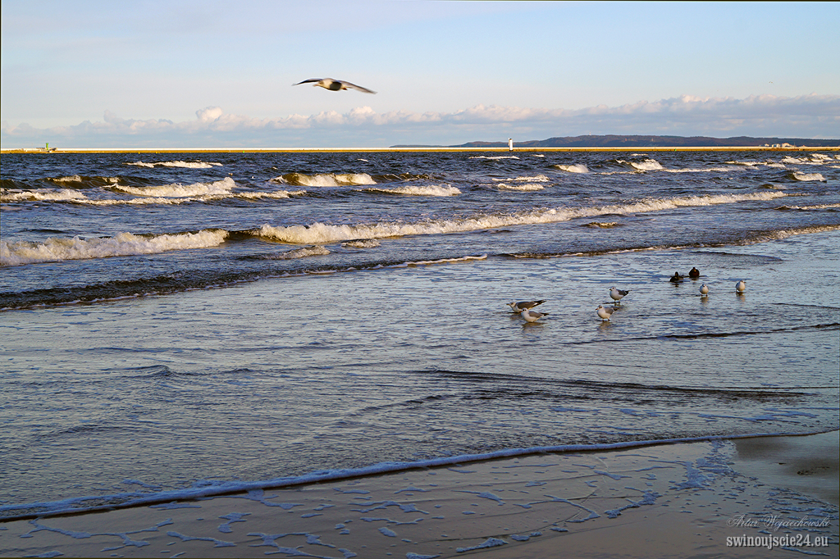 2014 sony alfa 58 DSC01836