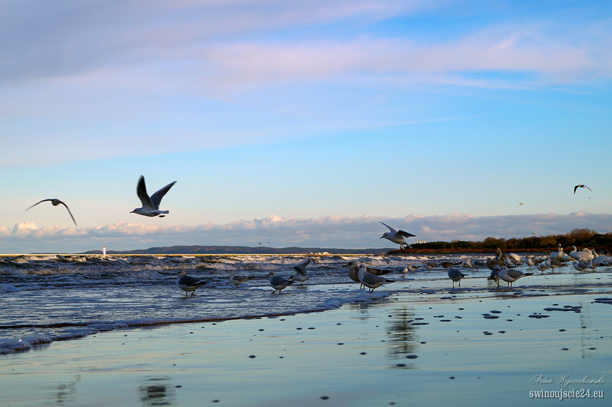 2014 sony alfa 58 DSC01840