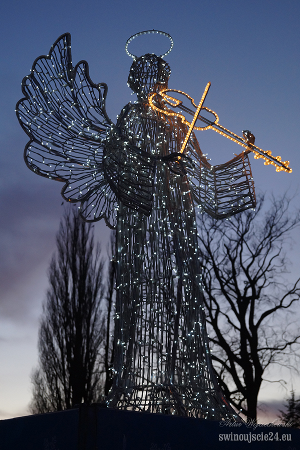 2014 sony alfa 58 DSC01943