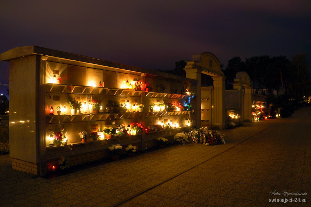 2017 sony alfa 58 DSC04258