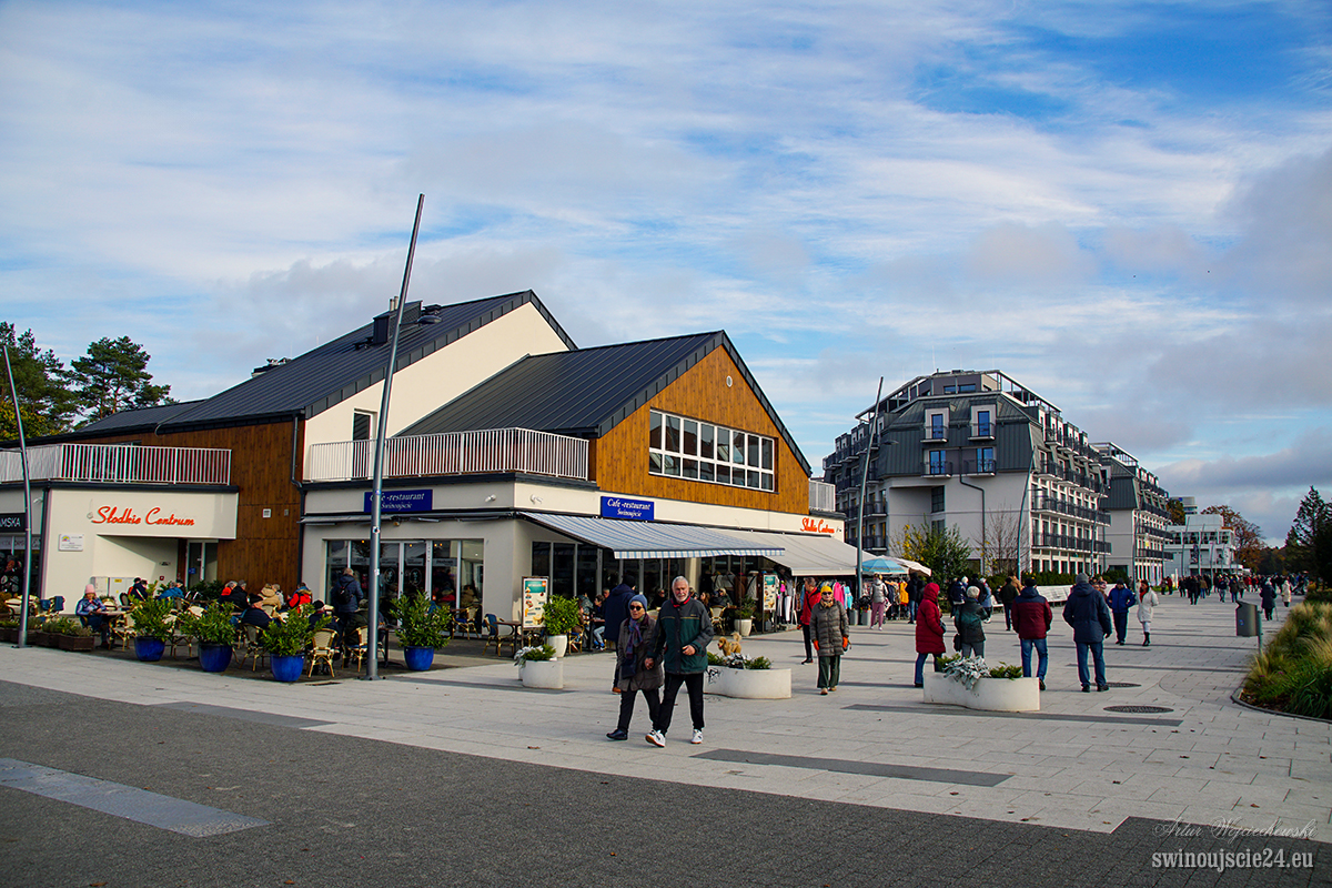 2023 sony alfa 77 DSC05051