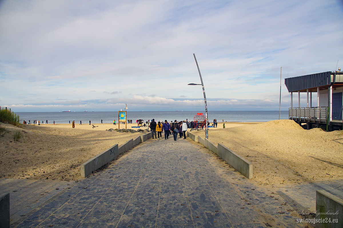 2023 sony alfa 77 DSC05062